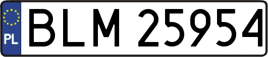 BLM25954