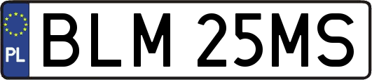BLM25MS
