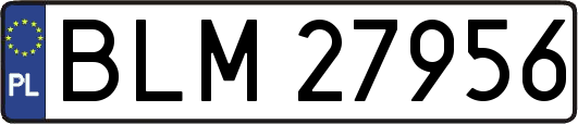 BLM27956