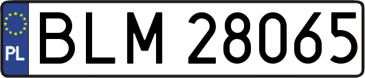 BLM28065