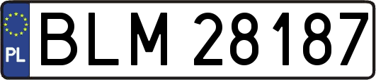 BLM28187