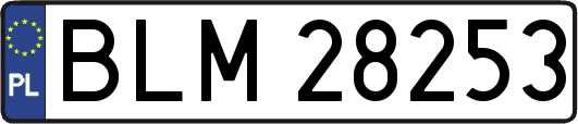 BLM28253