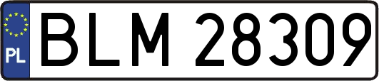 BLM28309
