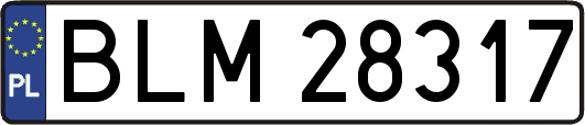 BLM28317