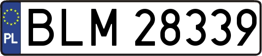 BLM28339