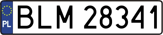 BLM28341