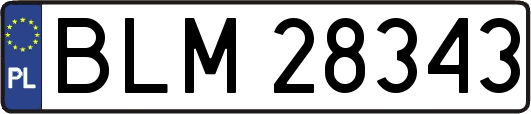 BLM28343