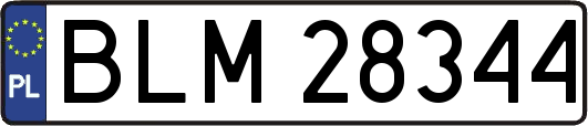 BLM28344