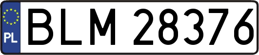 BLM28376