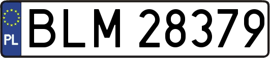 BLM28379