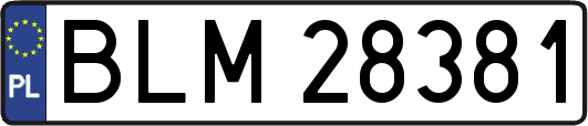 BLM28381