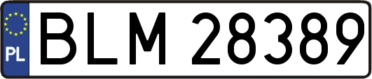 BLM28389