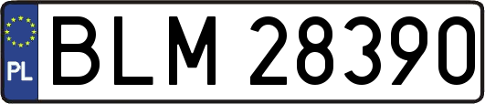 BLM28390