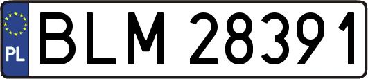 BLM28391