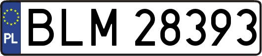 BLM28393