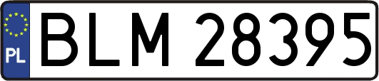 BLM28395