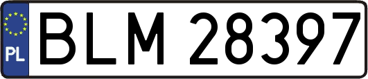 BLM28397