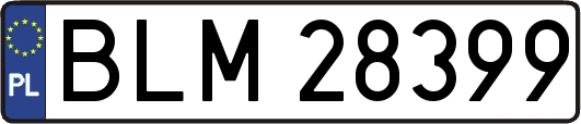 BLM28399