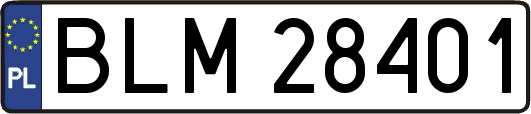 BLM28401