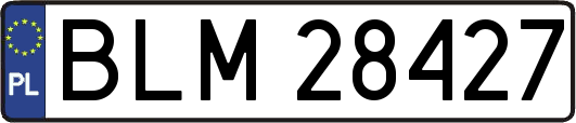 BLM28427