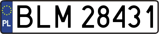 BLM28431