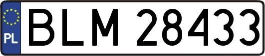BLM28433