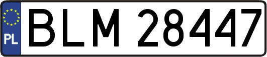 BLM28447