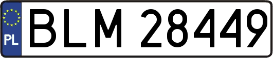 BLM28449