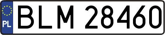 BLM28460