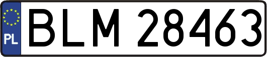BLM28463
