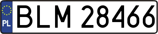BLM28466