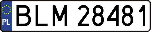 BLM28481