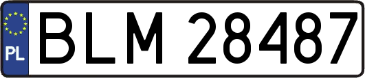BLM28487