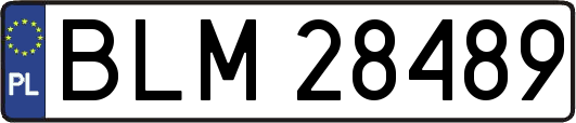 BLM28489