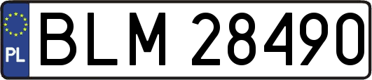 BLM28490