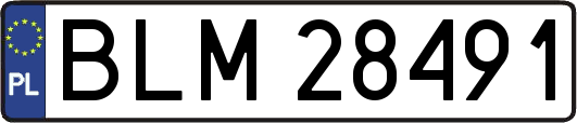 BLM28491