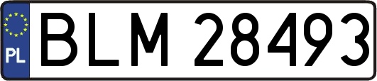 BLM28493