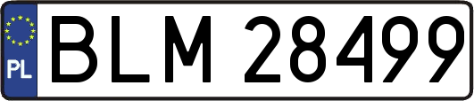 BLM28499