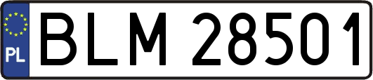 BLM28501