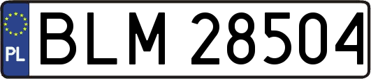 BLM28504