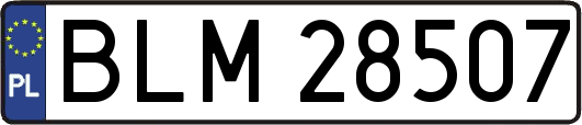 BLM28507