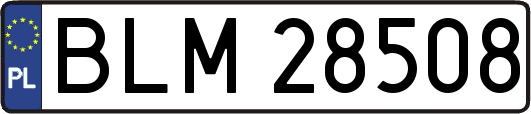 BLM28508
