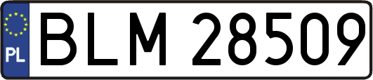 BLM28509