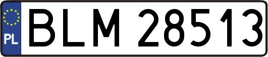 BLM28513