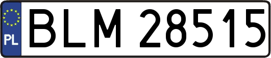 BLM28515