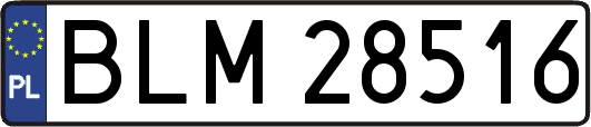 BLM28516