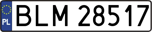 BLM28517