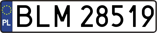 BLM28519