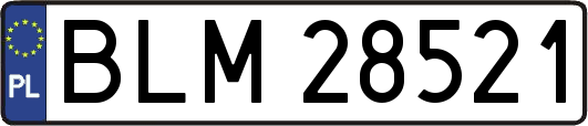 BLM28521
