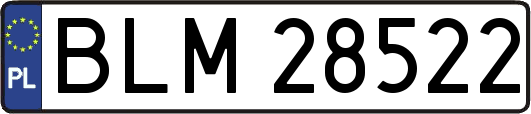 BLM28522